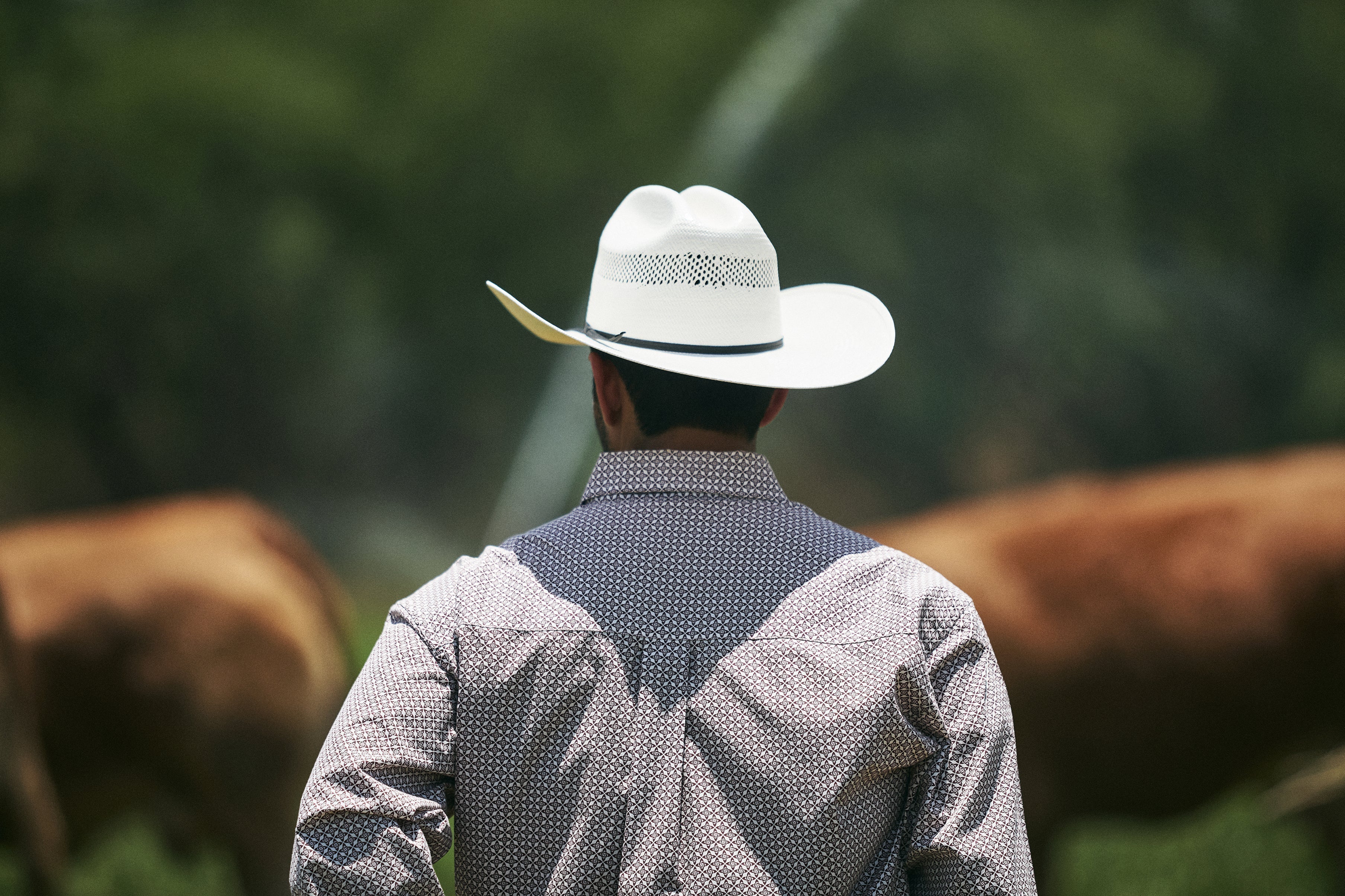 Tradición, Herencia y Familia