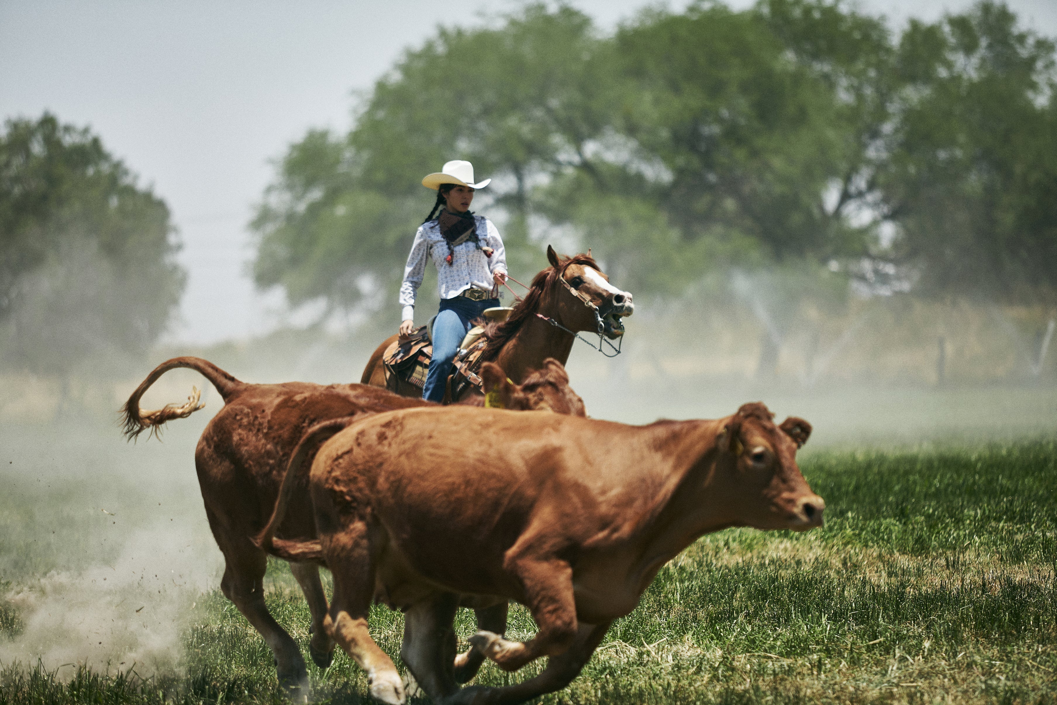El Origen de Nuestra Rebeldía
