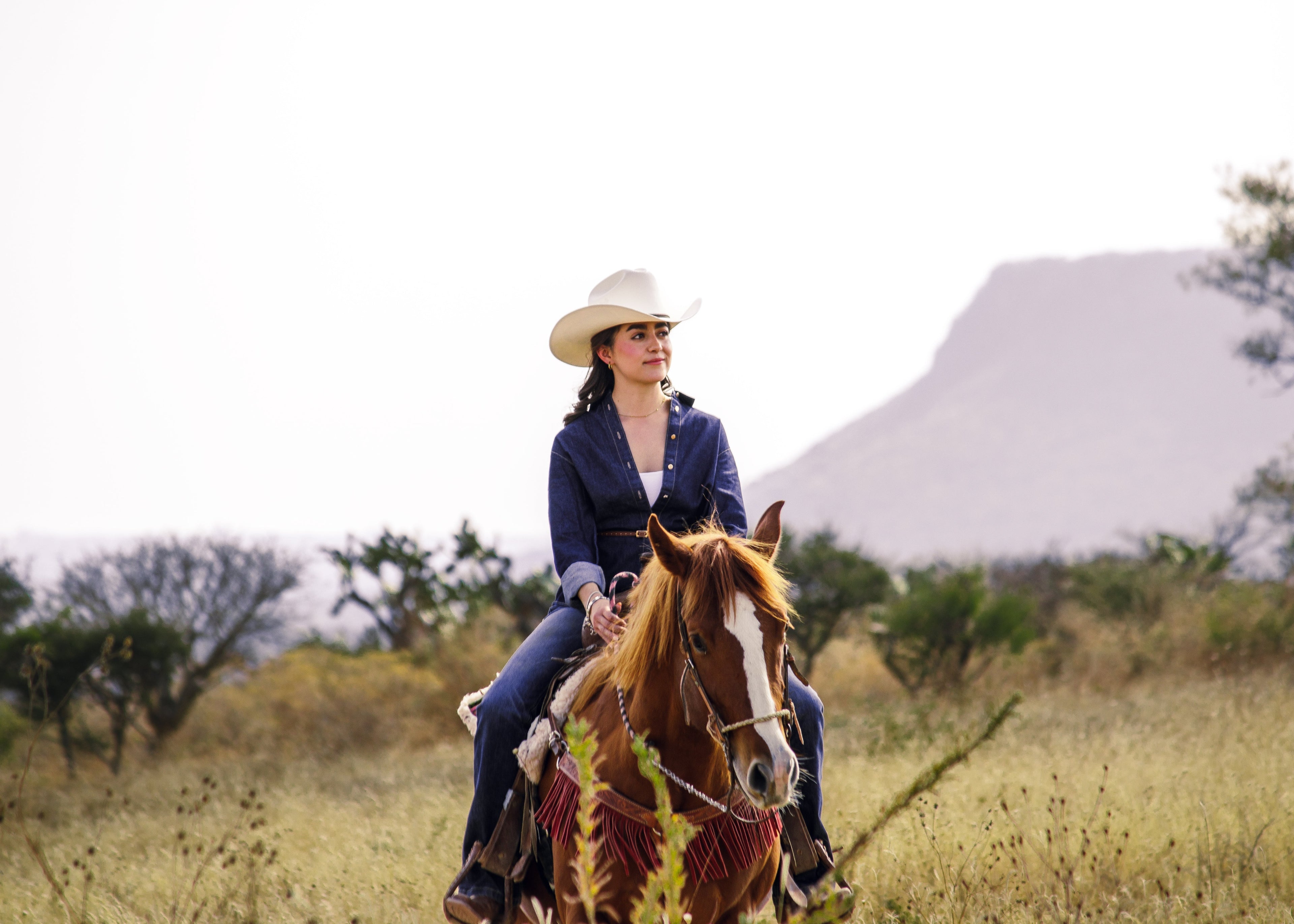 Raíces que no se olvidan