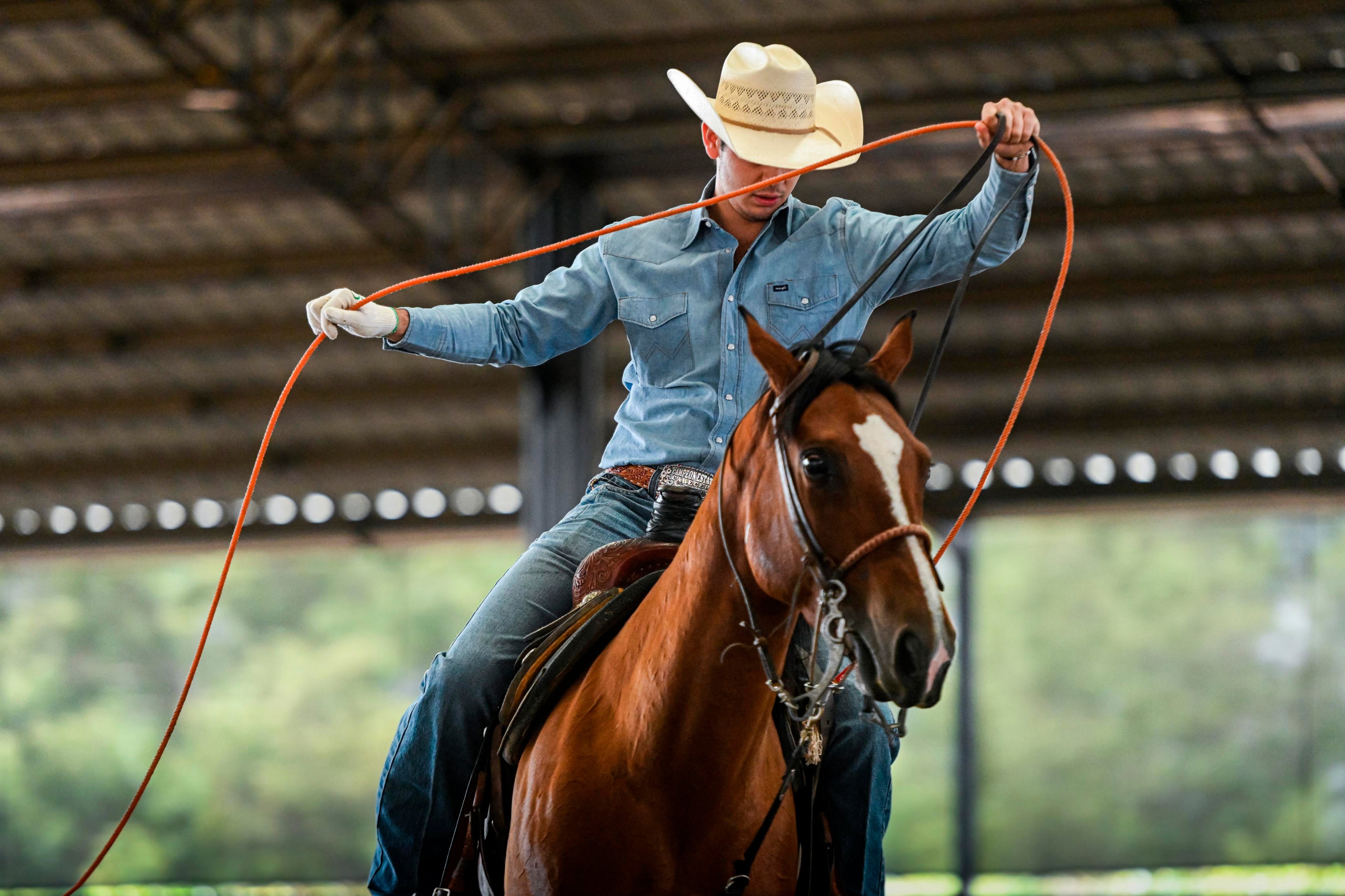 El lazo como lenguaje