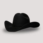 Sinaloa 100X Texana Vaquera